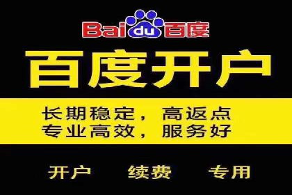 案例剖析：百度推广助力企业快速成长